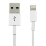 Argom Lightning USB Cable 10 ft